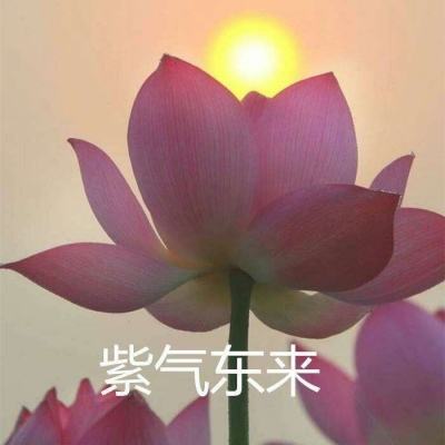 龙之怒吼腾讯版下载